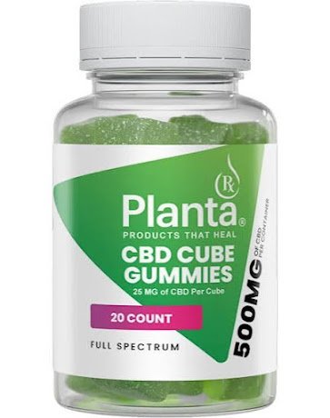 Medibloom CBD Gummies Review – A Complete Beginner’s Guide